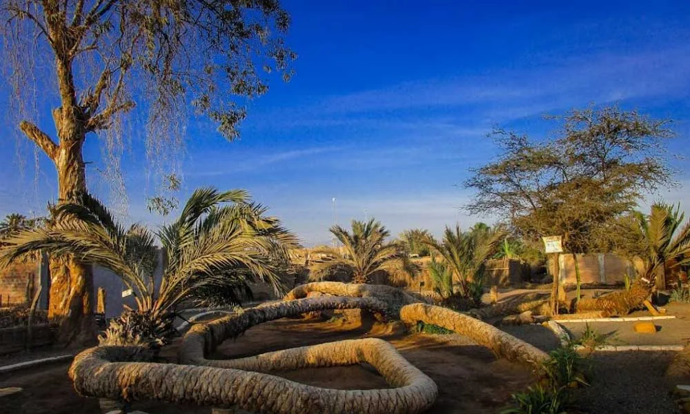 The Palmera de las Siete Cabezas in Ica