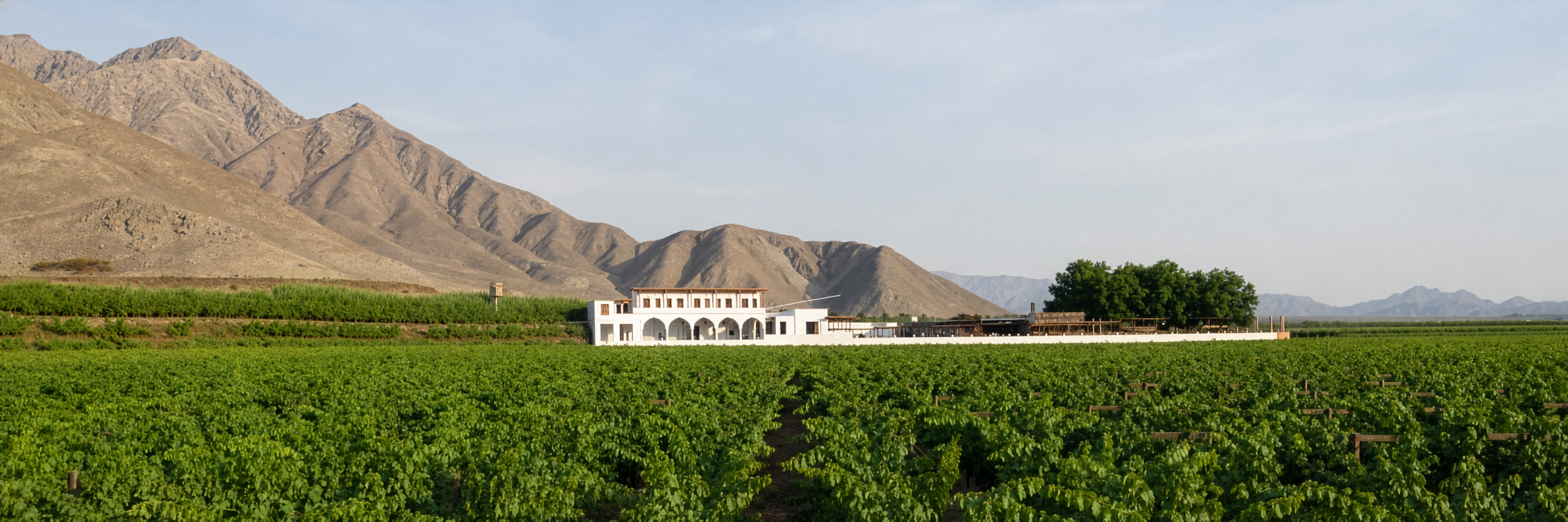 Elegant vineyard hotel and gardens in Ica