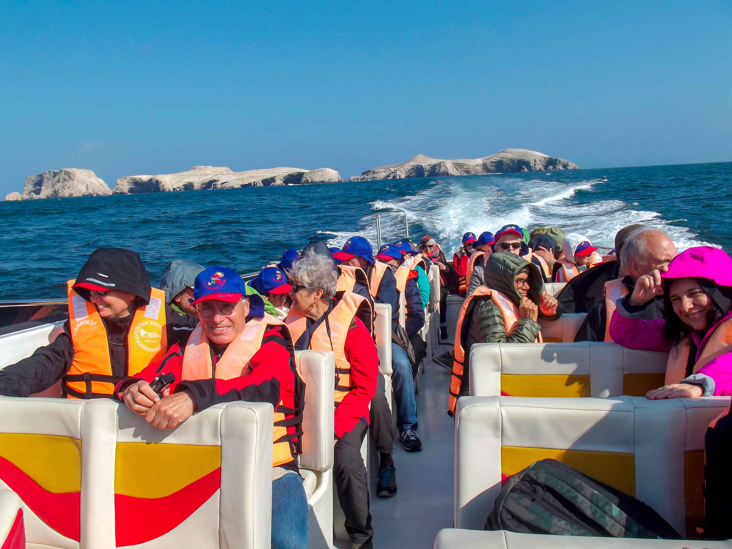 Boat tour near the Ballestas Islands