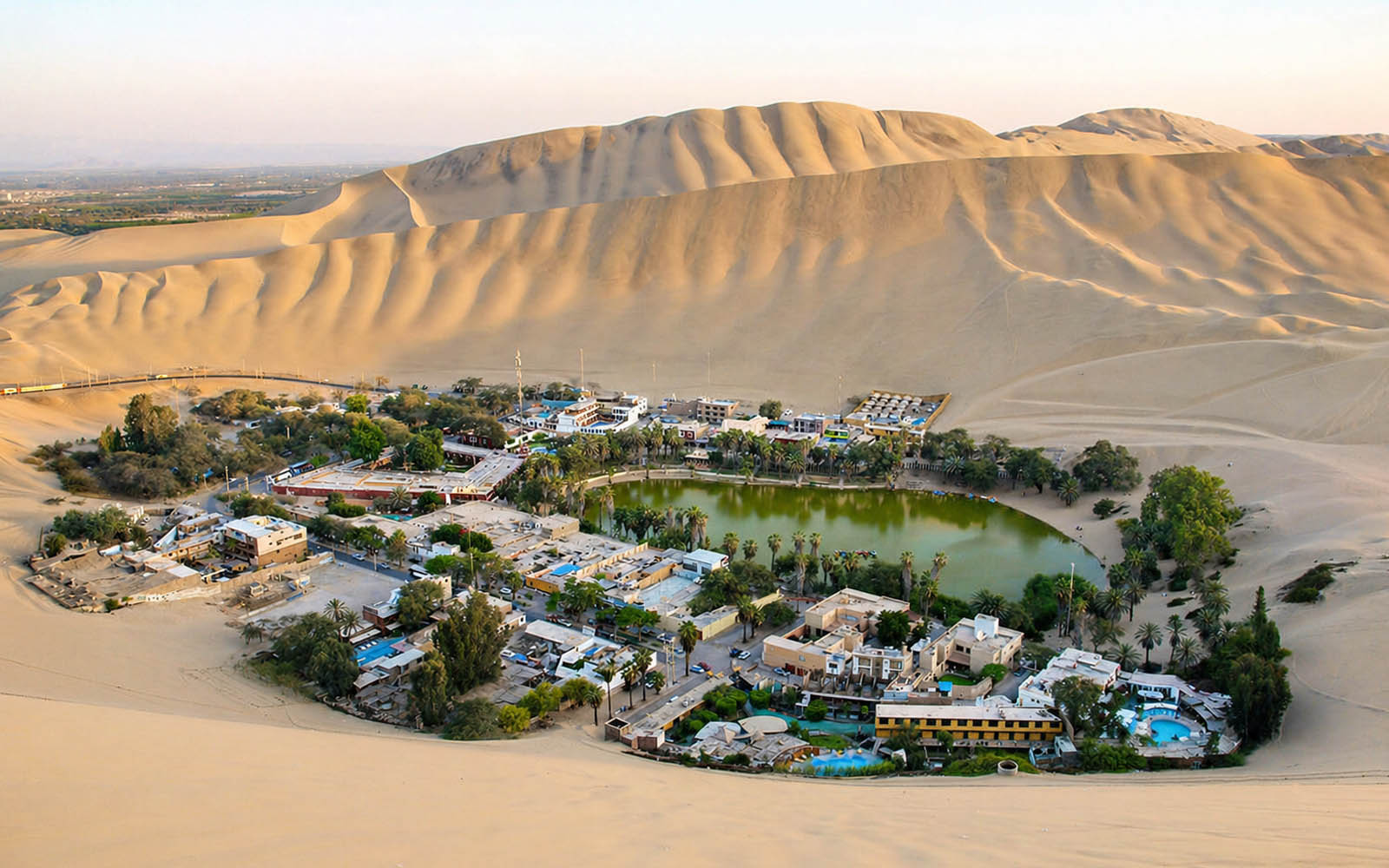 Desert dunes under warm light